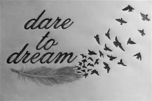 Birds Dare to Dream